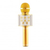 Microfon pentru karaoke cu acumulator teleMAG